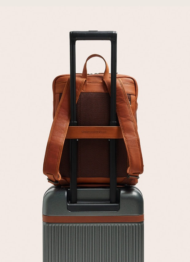 Trolley strap